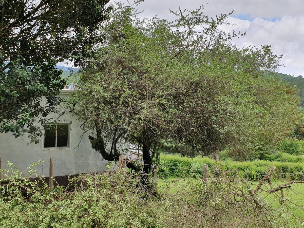 Casas De Racoヴィラ エクステリア 写真